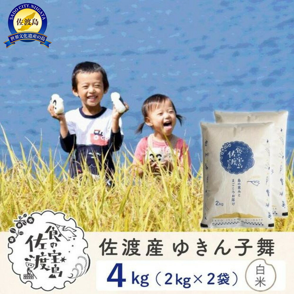 【ふるさと納税】佐渡島産ゆきん子舞 白米4Kg（2Kg×2袋） 令和7年 ～農薬5割減～ | お米 こめ 白米 食品 人気 おすすめ 送料無料
