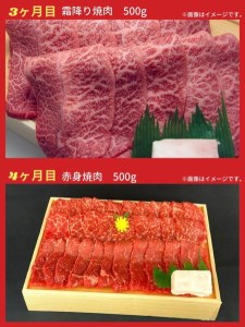 【6回定期便】亀岡牛 6ヶ月 お楽しみセット【計2.8kg】＜亀岡牛専門 木曽精肉店＞≪コロナ支援 和牛 牛肉≫ ☆祝！亀岡牛 2021年最優秀賞（農林水産大臣賞）受賞 ※冷凍（冷蔵も指定可）