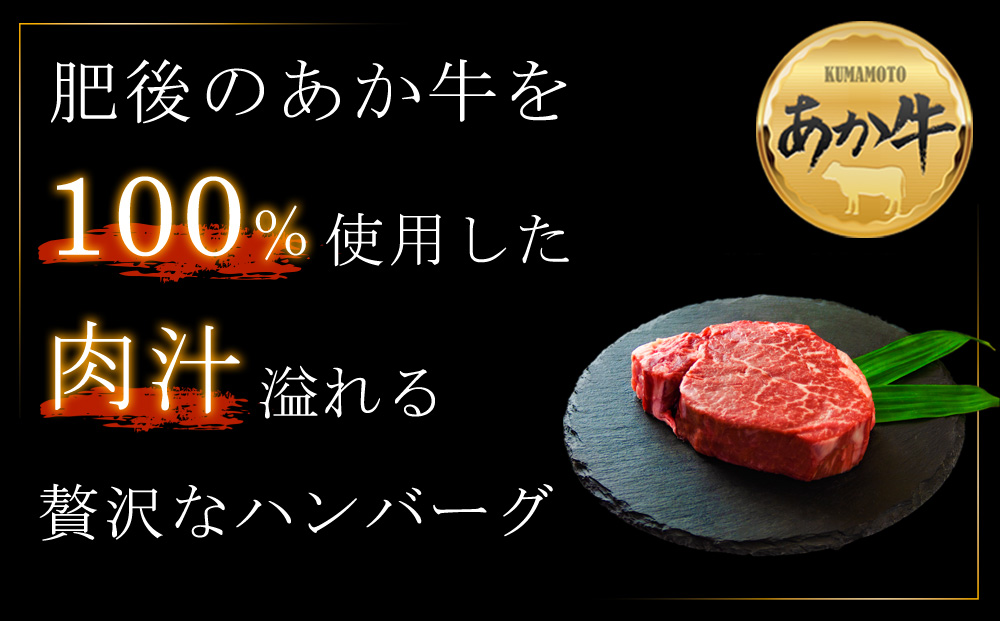 【定期便 全6回】 肥後の赤牛ハンバーグ150g×10個 阿蘇牧場 あか牛 和牛 肉 定期便 国産 牛肉 ブランド牛 人気 美味しい 焼肉 希少 ハンバーグ ジューシー 熊本 阿蘇