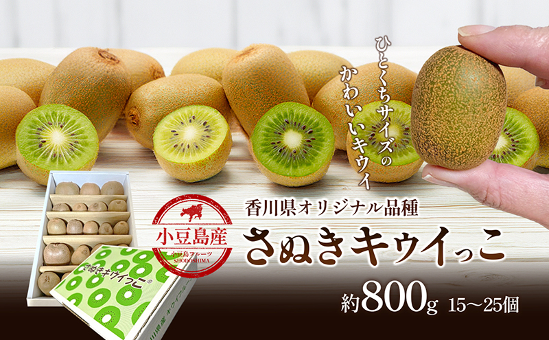 キウイフルーツ さぬきキウイっこ 香川県産 国産 約800g 15～25個 一口サイズ 糖度17～20度 甘い 和三盆 ビタミンE さぬき讃フルーツ 香川県オリジナル品種 キウイ 果物 フルーツ 果実 ギフト 贈答用 五色青果 香川 土庄 香川県 土庄町