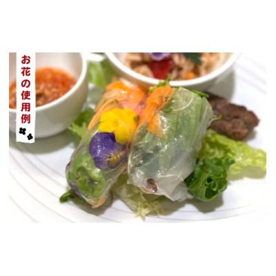 ふるさと納税 伊勢原市 農家直送!加藤さんちのエディブルフラワー 5パック (1パックあたり季節のお花15輪から30輪) |  | 03