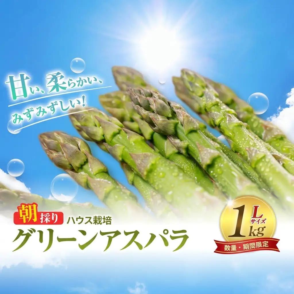 グリーンアスパラ ハウス栽培 Lサイズ 富良野産 グリーンアスパラ【1kg】