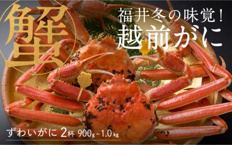 【先行予約！9月30日までの特別価格！！】【産地直送】福井冬の味覚！越前がに 2杯（900g～1.0kg）