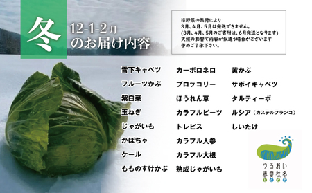 【 6ヶ月 定期便 】シェフ御用達！ 農園自慢 ★ 彩り 野菜セット（ 7品 目以上～）旬 野菜 詰め合わせ 定期 シェフ御用達 国産 岩手 季節の野菜 西洋野菜 紫人参 黄色人参 丸なす 水なす 長