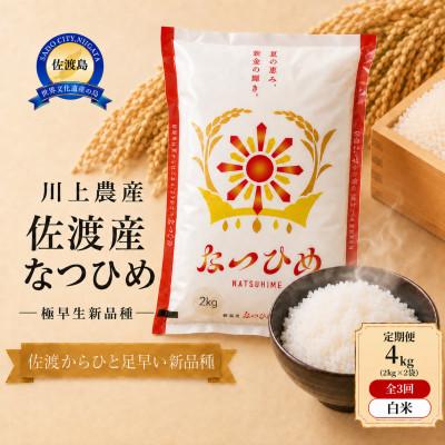 ふるさと納税 佐渡市 【毎月定期便】【新品種】佐渡産 なつひめ 4kg(2kg×2袋)精米　川上農産のお米全3回