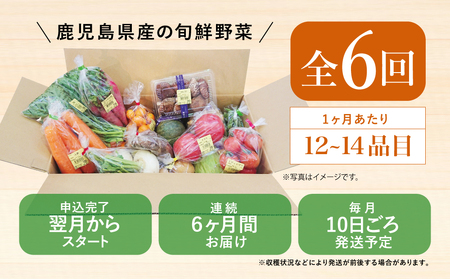 【かごしま野菜定期便 （全6回）】旬鮮野菜と果物のセット（12～14品目） 野菜 お野菜 九州 野菜BOX 旬 セット 詰合せ 定期便 JA鹿児島県経済連 南さつま市