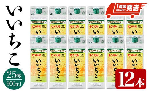 いいちこ 25度 パック(計10.8L・900ml×12本)酒 お酒 むぎ焼酎 900ml 麦焼酎 常温 いいちこ 三和酒類 紙パック【107304401】【時枝酒店】