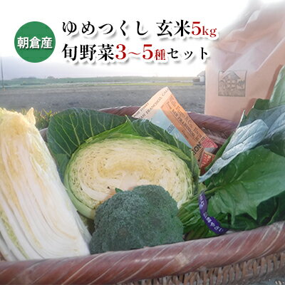 【ふるさと納税】米 5kg 季節野菜 セット 玄米 ゆめつくし お米 詰合せ 福岡県産