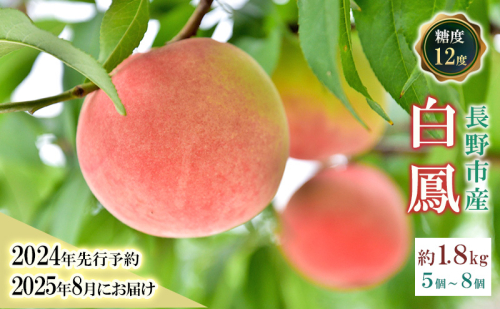 先行予約 白鳳 約1.8kg 糖度12度 オンライン決済限定 白桃 もも モモ フルーツ 果物 くだもの 長野県 川中島産 長野 お届け：2025年8月上旬～中旬 お取り寄せ