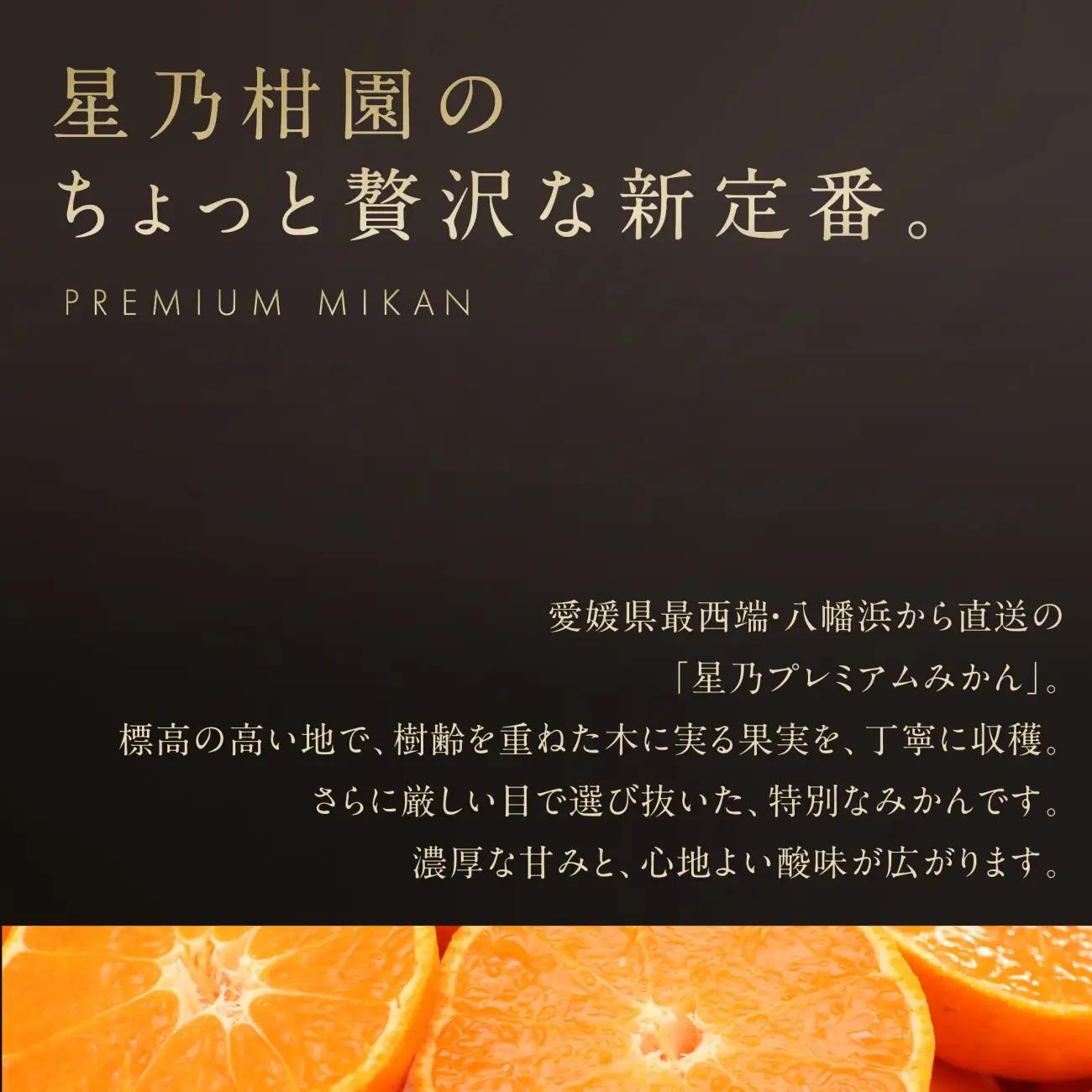 【先行受付】【三つ星ブランド】星乃みかんプレミアムシリーズ(5kg)【D45-84】【1454778】 YWTAZ046
