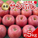 【ふるさと納税】 【令和6年産先行予約】 りんご 「サンふじ」 約5kg (12～23玉 秀品) 《令和6年12月上旬～令和7年2月下旬発送》 『カネタ高橋青果』 リンゴ 山形県 南陽市 [1960]