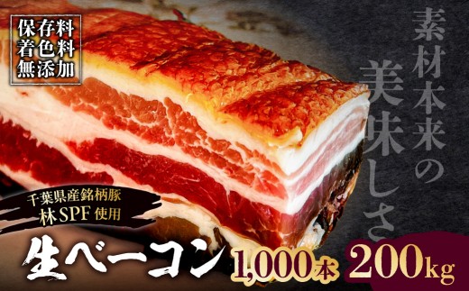 
                  生ベーコン【保存料・着色料無添加】《国産銘柄豚 林SPFプレミアムポーク 豚バラ》1000本 200kg 【ベーコン 豚バラ 燻製 冷燻 林SPF 豚 豚肉 肉 お肉 冷凍 おかず ベーコンエッグ 朝食 パスタ ペペロンチーノ カルボナーラ サンドイッチ】
                