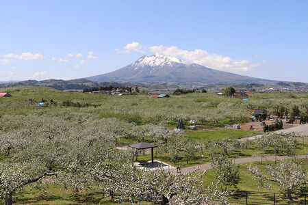 【タクシーでらくらく移動】着地型弘前ねぷたまつり見学ツアー　4名様ご招待