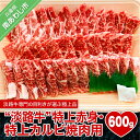 【ふるさと納税】 ふるさと納税 焼肉 赤身肉 【淡路牛】 特上赤身・特上カルビ 焼肉用 600g