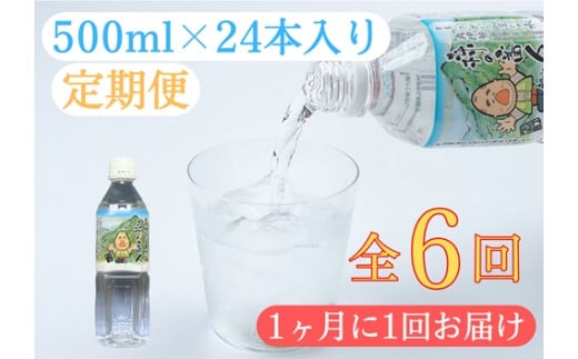 定期便　奥伊勢宮川の天然水　森の番人500ml×24本入り（1ヶ月に1回お届け　全6回）／森と水を守る会　ふるさと納税　水　ミネラルウォーター　軟水　弱アルカリ　自然水　防災　常備品　湧水