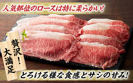 藤彩牛 ロース すき焼き しゃぶしゃぶ用 [ZDT006] 冷凍 国産 牛肉 しゃぶしゃぶ  熊本 すきやき