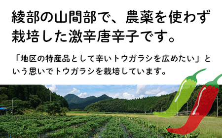 唐辛子Bセット トウガラシ 唐辛子 とうがらし 自家栽培 綾部 WAZUファーム スパイス 詰め合わせ 唐辛子セット 唐辛子詰め合わせ 辛い 京都 農家直送