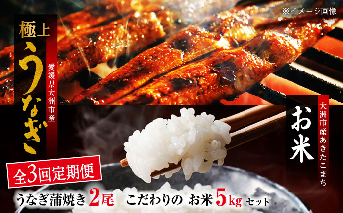 【全3回定期便】国産うなぎ！秘伝のタレで焼き上げた「うなぎ蒲焼き 2尾」と地元生産者こだわりの「お米 5kg」セット　愛媛県大洲市/有限会社 樽井旅館 [AGAH008]鰻 うな重 ひつまぶし 土用の丑の日 鰻重 ウナギ うな丼 鰻丼 うなぎ丼 お米 おにぎり 白米 ごはん ご飯 白ごはん