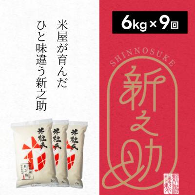 ふるさと納税 阿賀野市 【令和7年産】【9ヶ月定期便】米杜氏 阿賀野市産 新之助 6kg (2kg×3袋)×9回