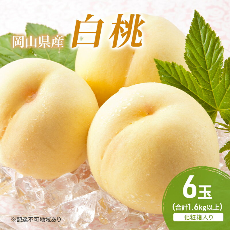 【ふるさと納税】桃 2026年 先行予約 白桃 6玉 (1.6kg以上) 化粧箱入り もも モモ 岡山県産 国産 フルーツ 果物 セット ギフト 　お届け：2026年7月上旬～2026年8月中旬