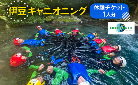 伊豆キャニオニング 1人分 体験チケット 伊豆キャニオニング