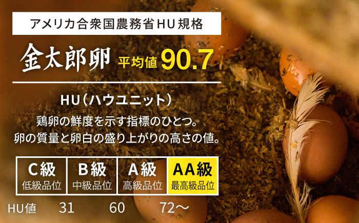 【12回定期便】【TVで紹介！】【鮮度ＡＡ級の世界最高ランク！】金太郎卵 平飼い たまご 24個（6個×4パック）＜有限会社フジノ香花園＞那珂川市 [GAM035]
