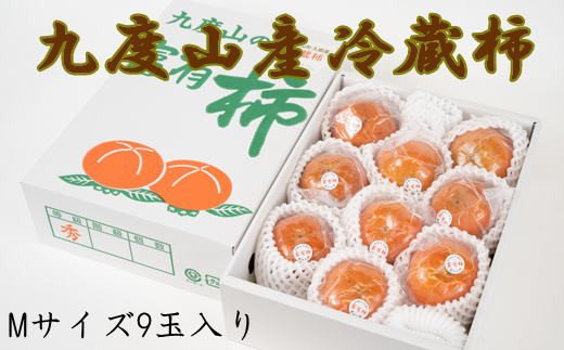 【まごころ栽培】九度山の冷蔵富有柿Mサイズ9玉入り＜2025年1月中旬～2025年2月下旬頃に順次発送＞ / 柿 先行予約 大容量 かき 旬