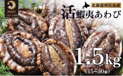 
            【10～12月発送受付】天然蝦夷『活』アワビ1.5kg 利尻島産【期間限定】利尻昆布を食べて育った美味しいあわび お正月 おせち 刺身 北海道 利尻 エゾアワビ
          