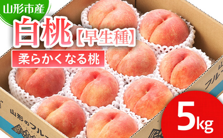 山形市産 白桃【早生種】「三郷･まどか･陽夏妃」柔らかくなる桃 5kg (13玉～18玉)【令和8年産先行予約】FS25-125