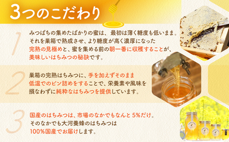 渥美半島産純粋百花はちみつ 300g 2本 蜂蜜 ハチミツ 蜂蜜