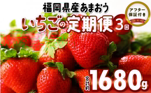 先行予約！『いちごの定期便』福岡県産　あまおう　合計約1680g（約280 g×2パックを2月3月4月の3回）　 2026年2月より順次発送_いちご 先行予約 定期便 3回 あまおう 約280g × 2パック 合計 約 1680g 2026年2月より順次発送 イチゴの王様 果汁 栄養 健康 アンチエイジング 美容 福岡県産 果物 フルーツ スイーツ 久留米市 お取り寄せ 送料無料_Fi051