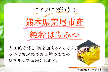 はぜはちみつ 160g×2個 320g 蜂蜜 国産 熊本県荒尾市産 純粋蜂蜜 木原養蜂園《30日以内に出荷予定(土日祝除く)》