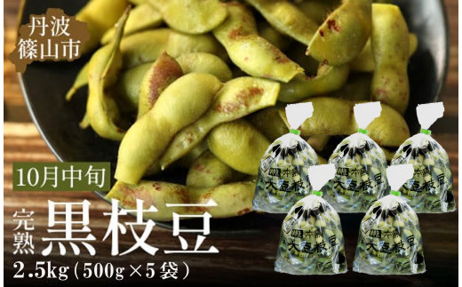 【2025年10月中旬発送】令和7年産 丹波ふるさと村の丹波黒枝豆500g×5(枝なし)