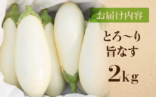 《先行予約》とろ～り旨なす 2kg 茄子 なす 白茄子 白なす 白ナス ナス 旨い 甘い 艶 ツヤ ハリ 揚げ物 揚げ茄子 焼茄子 麻婆茄子 輝楽 愛知県 豊橋市