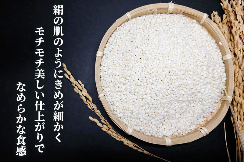 《予約受付》【2026年3月上旬発送・お彼岸】令和7年産【もち米】 10kg（5kg×2袋） 秋田県 由利本荘市産 きぬのはだ 精米 10kg