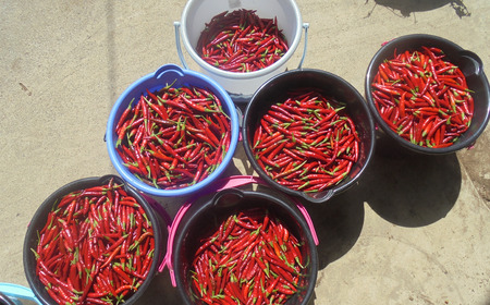 ペン型七味とうがらし七福来とマーカー型福一味セット 七味唐辛子