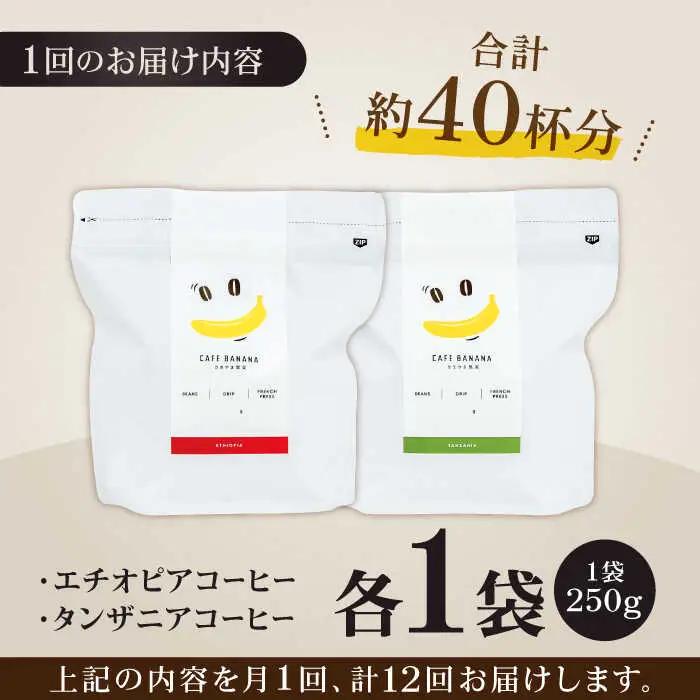 コーヒー[豆]12回定期 自家焙煎スペシャルティコーヒー豆(250g×2種)約40杯分ZCJ020