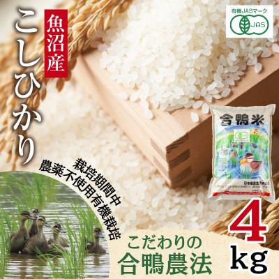 ふるさと納税 十日町市 【精米】魚沼産 コシヒカリ 4kg 栽培期間中農薬不使用 あいがも農法 有機栽培米 新潟県十日町市