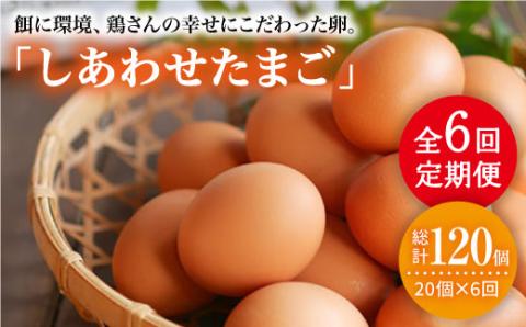 【月1回20個×6回定期便】平飼い「しあわせたまご」計120個＜松本養鶏場＞ [CCD028]