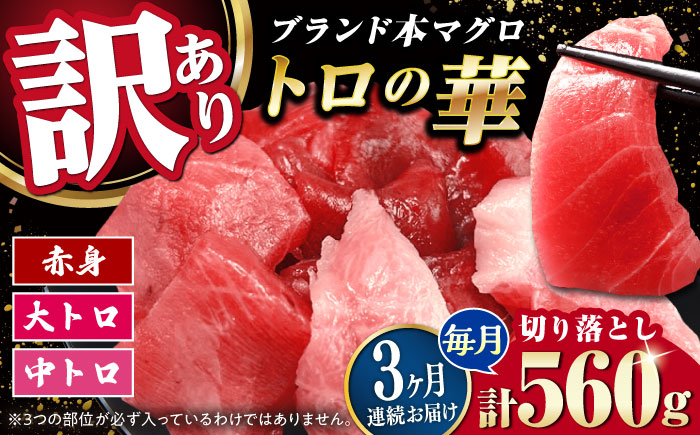 【全3回定期便】訳あり！対馬産 本マグロ 切り落とし 560g（8パック） ≪対馬市≫【桐谷商店】 トロの華 冷凍 新鮮 海鮮 小分け マグロ [WAQ032]