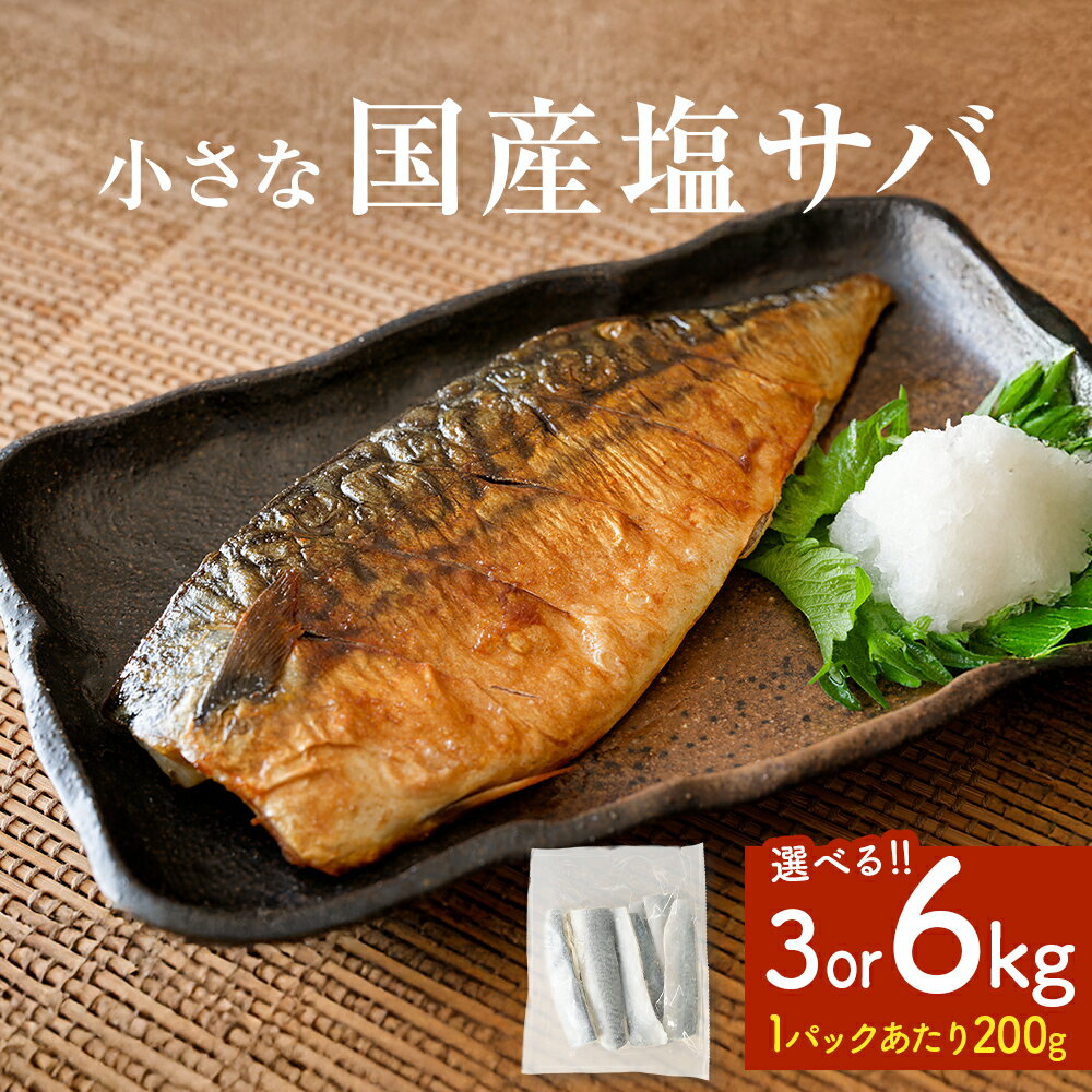 【ふるさと納税】《内容量が選べる》国産 塩サバ 3kg or 6kg 冷凍サバ 国産サバ サバフィレ 鯖 青魚 塩さば 真サバ 切り身 ご家庭用 焼き魚 焼魚 おかず お弁当 惣菜 和風惣菜 焼くだけ 簡単調理 サバ フィレ 鯖フィレ さば フィーレ 切身 宮城 宮城県 石巻 石巻市
