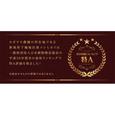 ふるさと納税 新潟市 カガヤキ農園 新潟県産特別栽培米 コシヒカリ 5kg[54070004] |  | 02