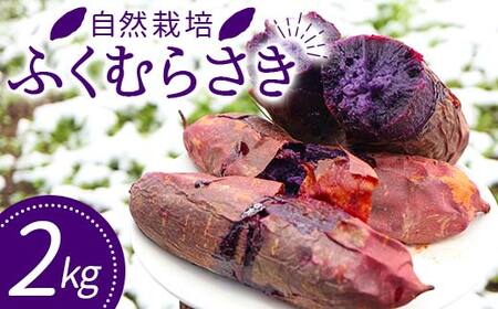 自然栽培 ふくむらさき 2kg 大～小混合 さつまいも サツマイモ 芋 F3S-2639