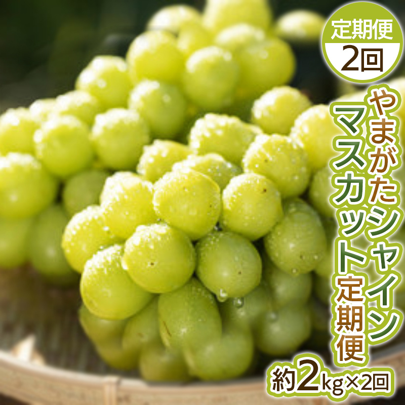 【定期便2回】やまがた シャインマスカット 秀品 約2kg×2回 FY25-045