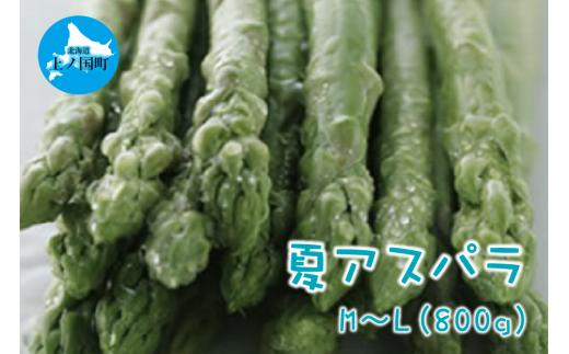 【2025年夏発送】北海道上ノ国町産 刀祢農園の夏アスパラ　M～L（800g）