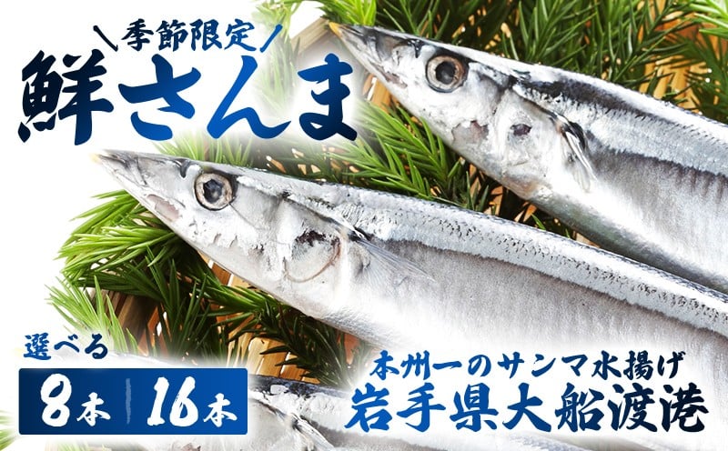
            【予約受付中】 鮮さんま 選べる 8本 16本 (1尾 100g〜120g) 岩手大船渡産 サンマ 秋刀魚 海鮮 魚貝類 魚介類 産地直送 新鮮 期間限定 鮮魚 新鮮さんま 魚 焼き魚 三陸さんま 岩手 大船渡市
          