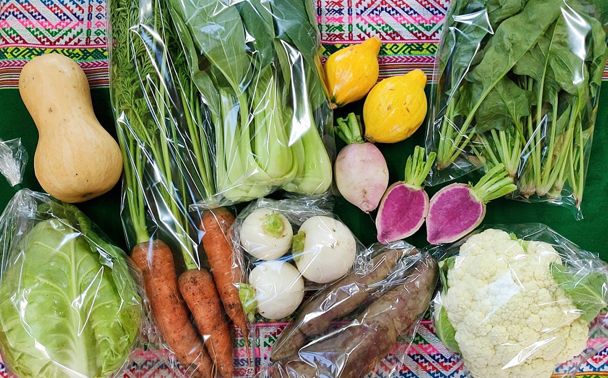 【 訳あり 】【 12ヶ月連続お届け 】 お楽しみ野菜セット （ 7袋 ）【 フードロス対策 】【 野菜 詰め合わせ お任せ 訳あり フードロス 季節物 セット 山芋 パセリ かぶ 人参 里芋 たまね