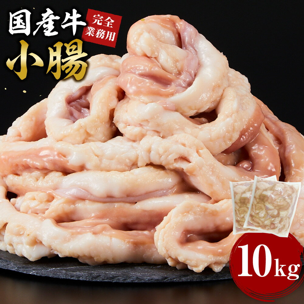 【ふるさと納税】《完全業務用》国産牛　小腸　10kg | 肉 お肉 にく 牛肉 牛 小腸 ホルモン 国産 国産牛 食品 人気