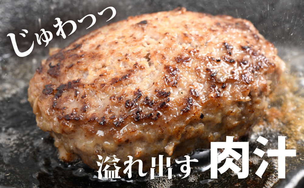 がばいばーぐ。佐賀牛入り黒毛和牛ハンバーグ140g×12個【がばいばーぐ。 佐賀牛 黒毛和牛 お弁当 おかず 惣菜 簡単調理 肉 合挽肉 贈り物 ギフト 人気 個包装】 (H081147)