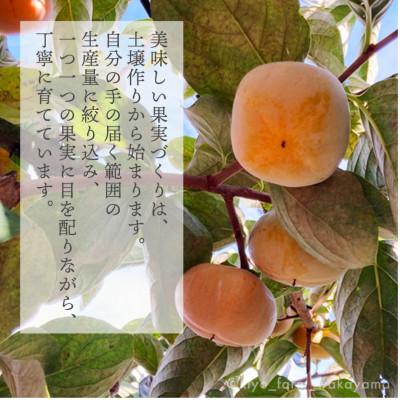 ふるさと納税 美浜町 先行受付　柿(種無し)　赤秀品大玉　6個入　約1.8kg |  | 01
